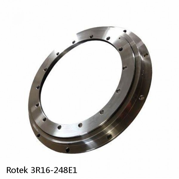 3R16-248E1 Rotek Slewing Ring Bearings