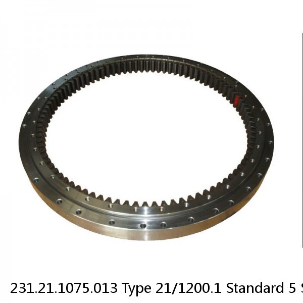 231.21.1075.013 Type 21/1200.1 Standard 5 Slewing Ring Bearings