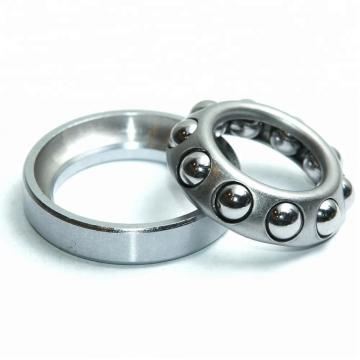 1 Inch | 25.4 Millimeter x 1.375 Inch | 34.925 Millimeter x 1 Inch | 25.4 Millimeter  CONSOLIDATED BEARING 93516  Cylindrical Roller Bearings