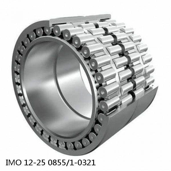 12-25 0855/1-0321 IMO Slewing Ring Bearings