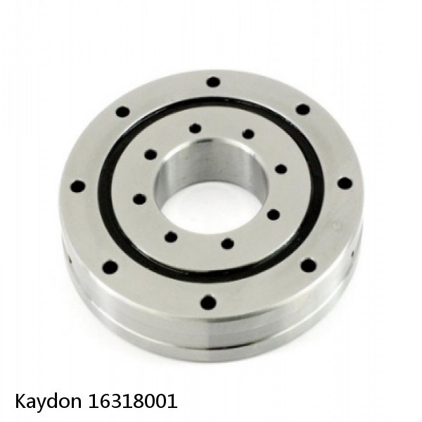 16318001 Kaydon Slewing Ring Bearings