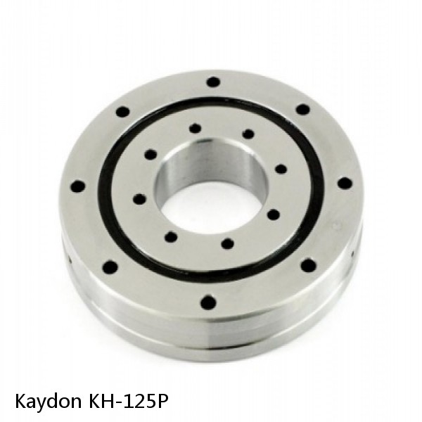 KH-125P Kaydon Slewing Ring Bearings