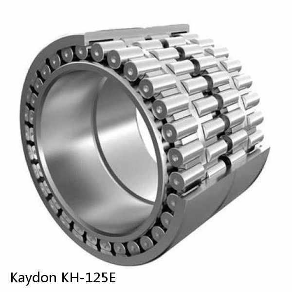 KH-125E Kaydon Slewing Ring Bearings