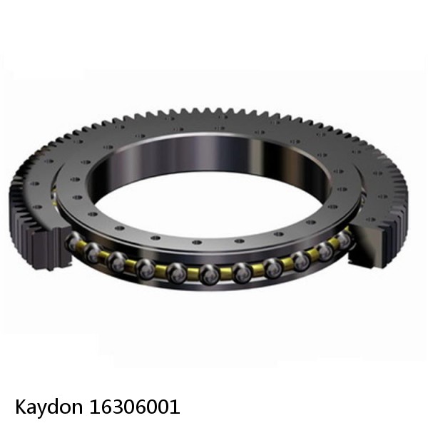 16306001 Kaydon Slewing Ring Bearings