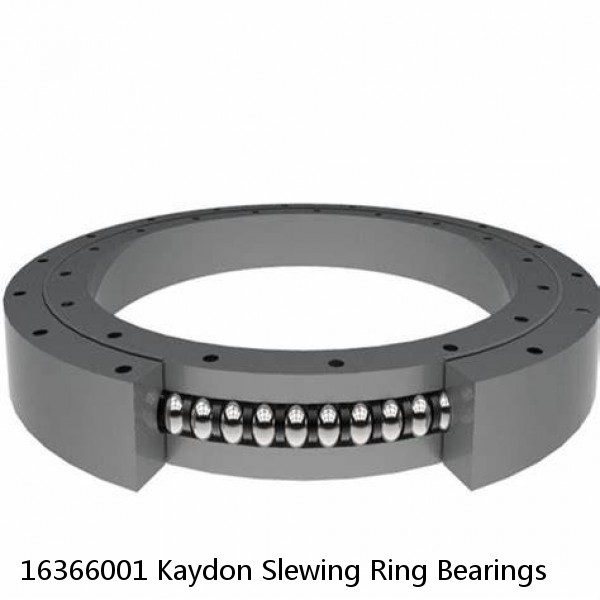 16366001 Kaydon Slewing Ring Bearings