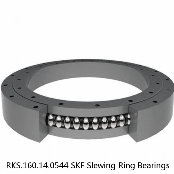 RKS.160.14.0544 SKF Slewing Ring Bearings