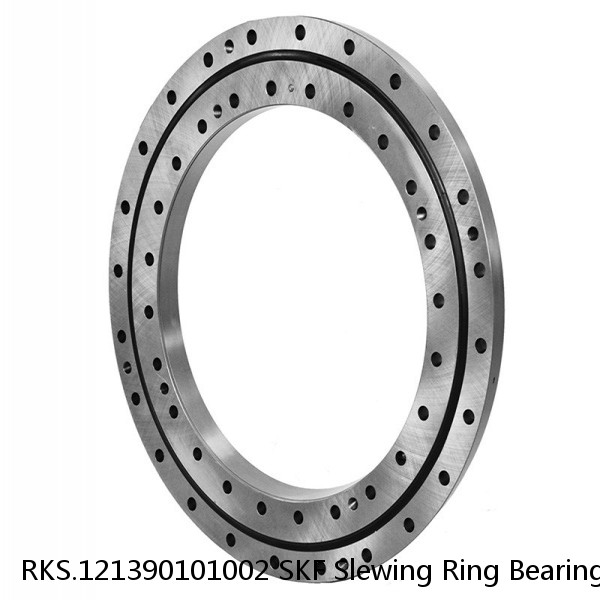 RKS.121390101002 SKF Slewing Ring Bearings