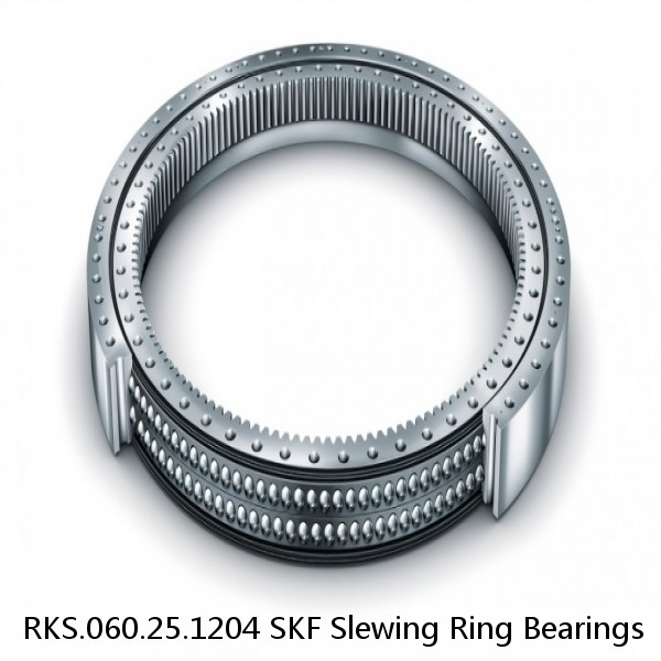 RKS.060.25.1204 SKF Slewing Ring Bearings