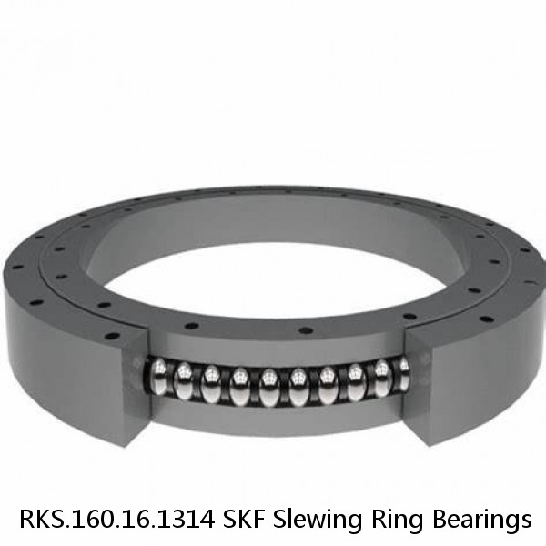 RKS.160.16.1314 SKF Slewing Ring Bearings