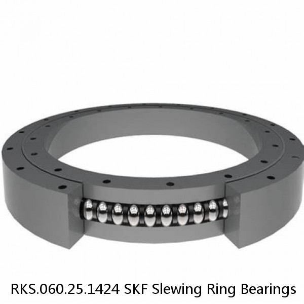 RKS.060.25.1424 SKF Slewing Ring Bearings