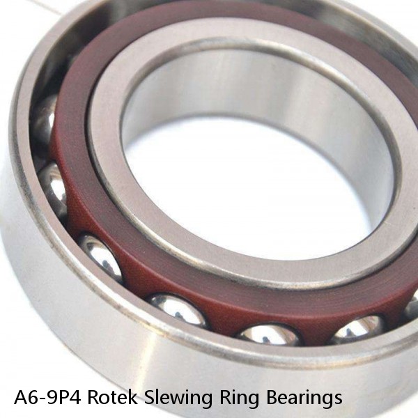 A6-9P4 Rotek Slewing Ring Bearings