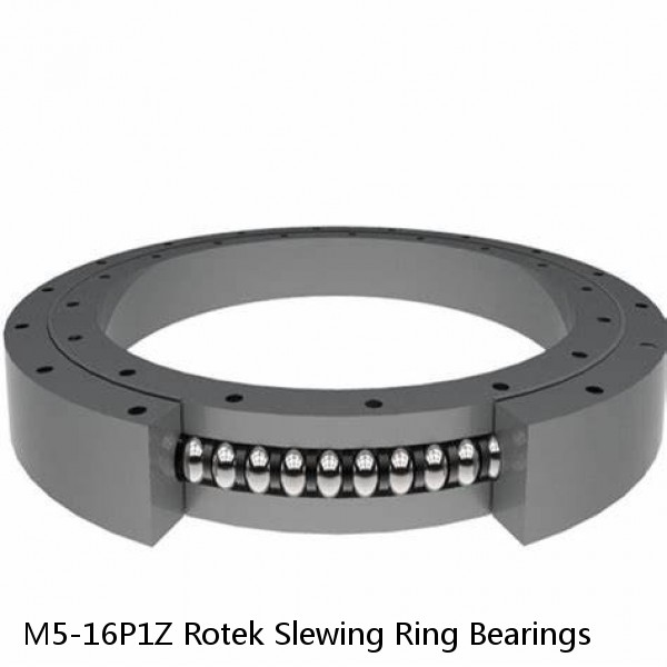 M5-16P1Z Rotek Slewing Ring Bearings