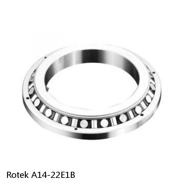 A14-22E1B Rotek Slewing Ring Bearings