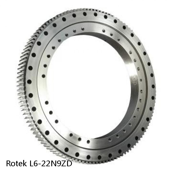 L6-22N9ZD Rotek Slewing Ring Bearings