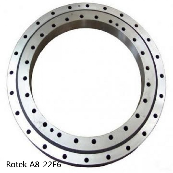 A8-22E6 Rotek Slewing Ring Bearings