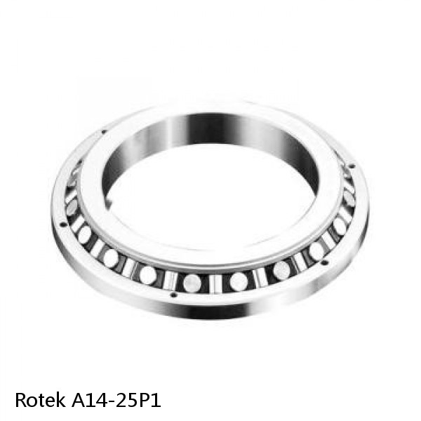 A14-25P1 Rotek Slewing Ring Bearings