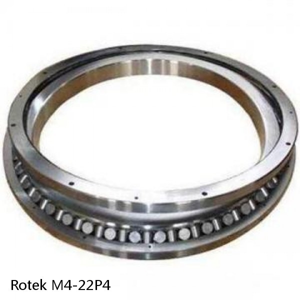 M4-22P4 Rotek Slewing Ring Bearings