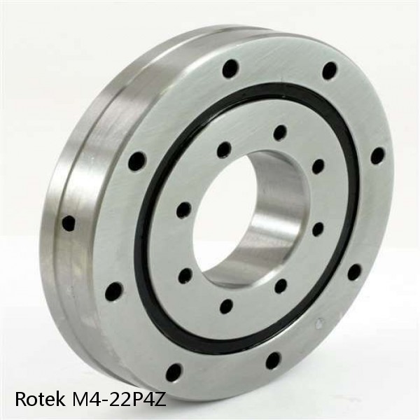 M4-22P4Z Rotek Slewing Ring Bearings