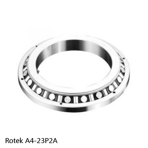 A4-23P2A Rotek Slewing Ring Bearings