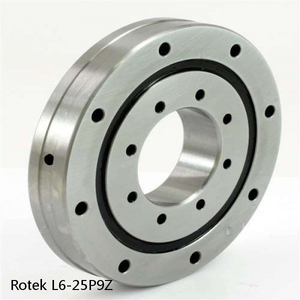 L6-25P9Z Rotek Slewing Ring Bearings