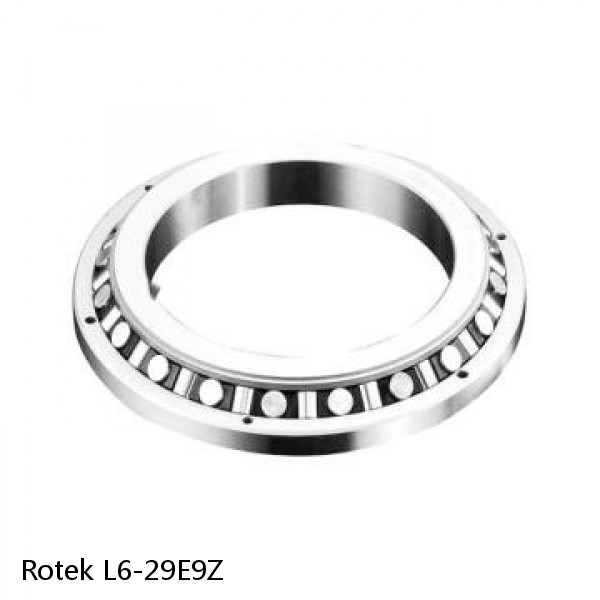 L6-29E9Z Rotek Slewing Ring Bearings