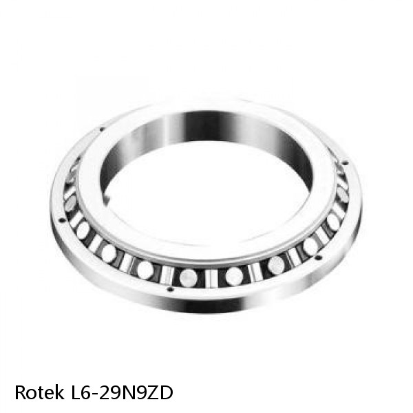 L6-29N9ZD Rotek Slewing Ring Bearings