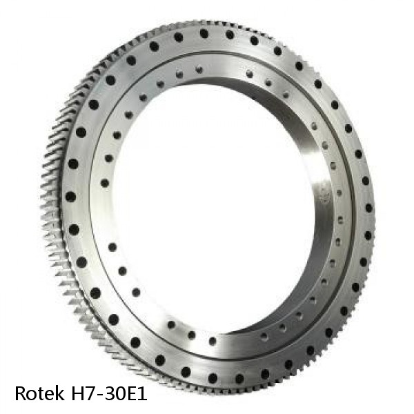 H7-30E1 Rotek Slewing Ring Bearings