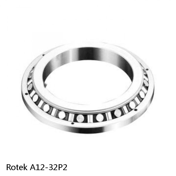 A12-32P2 Rotek Slewing Ring Bearings