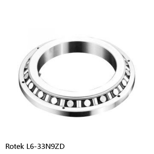 L6-33N9ZD Rotek Slewing Ring Bearings