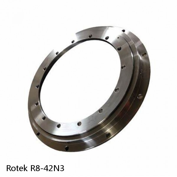 R8-42N3 Rotek Slewing Ring Bearings