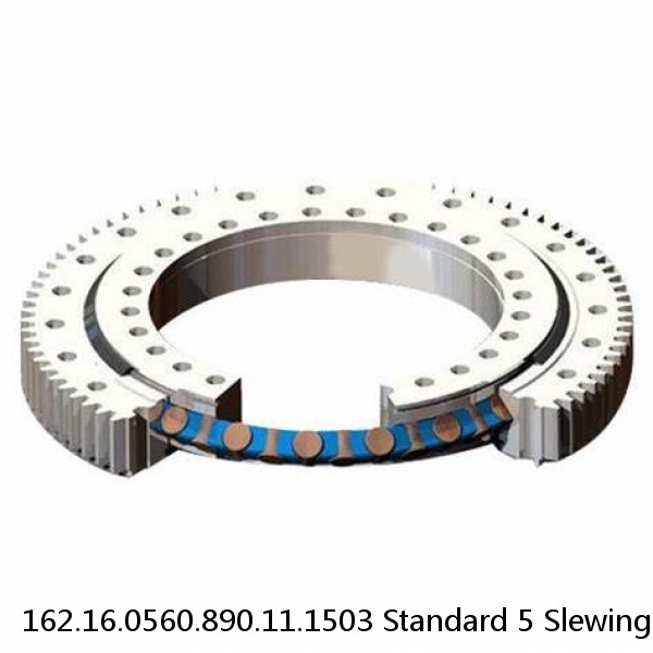 162.16.0560.890.11.1503 Standard 5 Slewing Ring Bearings