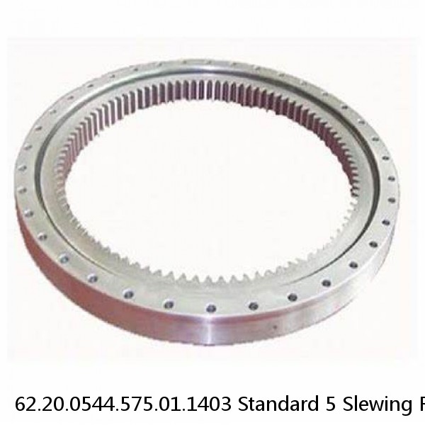 62.20.0544.575.01.1403 Standard 5 Slewing Ring Bearings