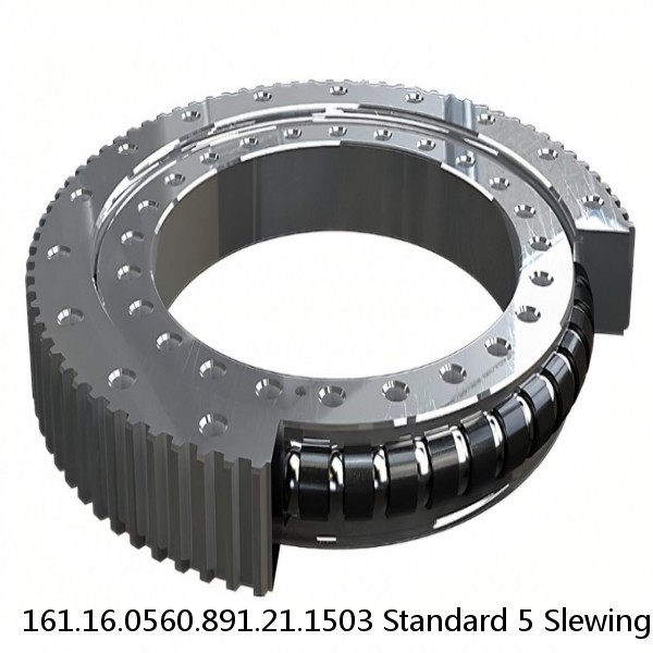 161.16.0560.891.21.1503 Standard 5 Slewing Ring Bearings