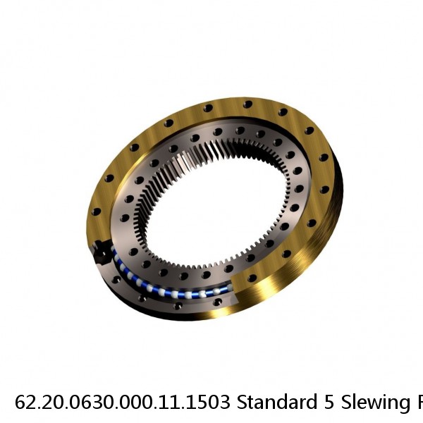 62.20.0630.000.11.1503 Standard 5 Slewing Ring Bearings