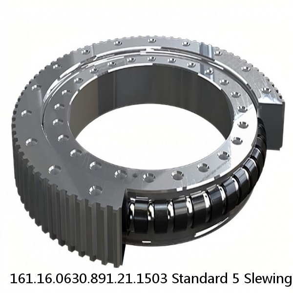 161.16.0630.891.21.1503 Standard 5 Slewing Ring Bearings