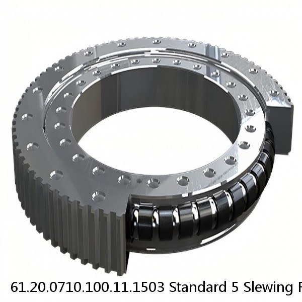 61.20.0710.100.11.1503 Standard 5 Slewing Ring Bearings