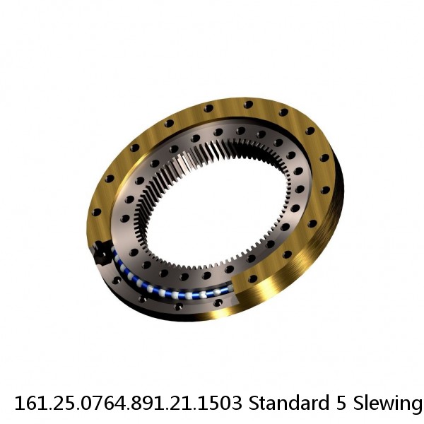 161.25.0764.891.21.1503 Standard 5 Slewing Ring Bearings