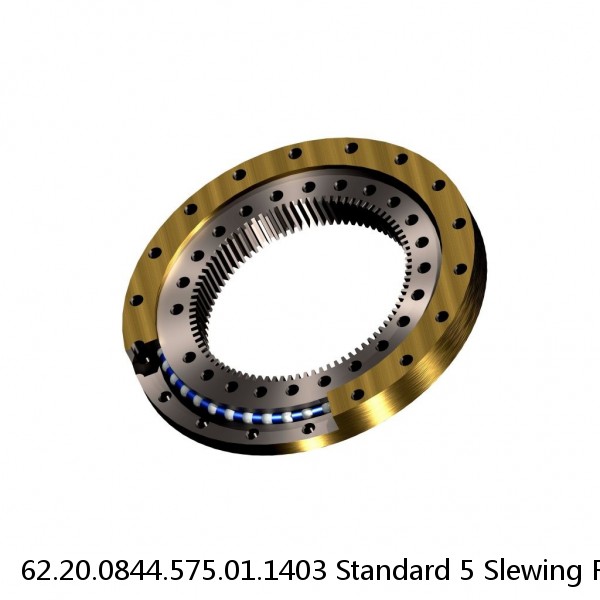 62.20.0844.575.01.1403 Standard 5 Slewing Ring Bearings